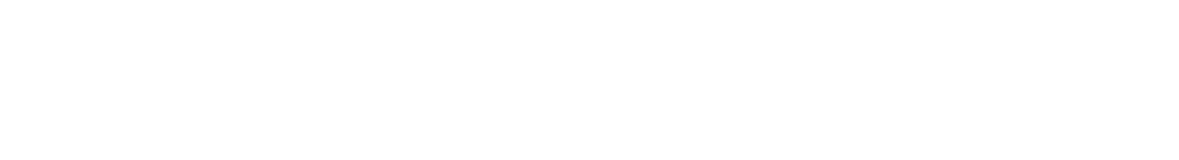 reflexion south point logo 2